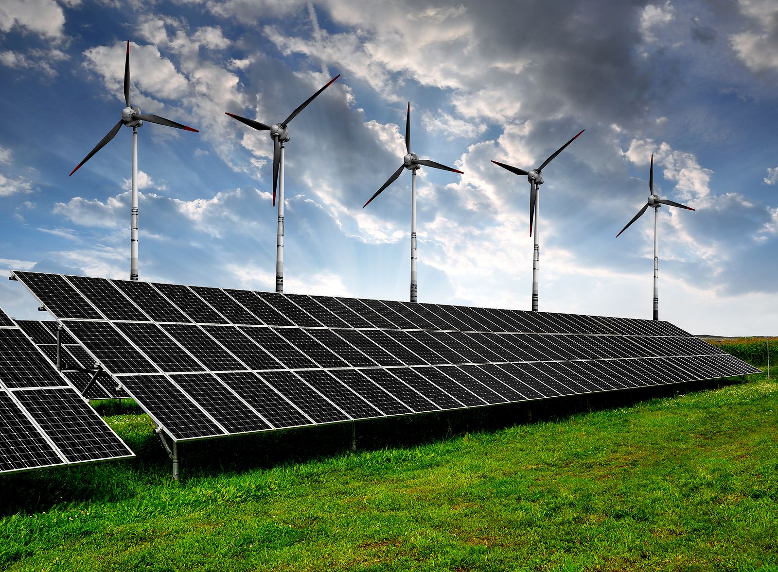 Solar energy panels and wind turbines