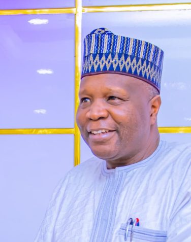 Beryl TV gombe-governor IGR: Gombe eyes technology to double tax collection Technology 